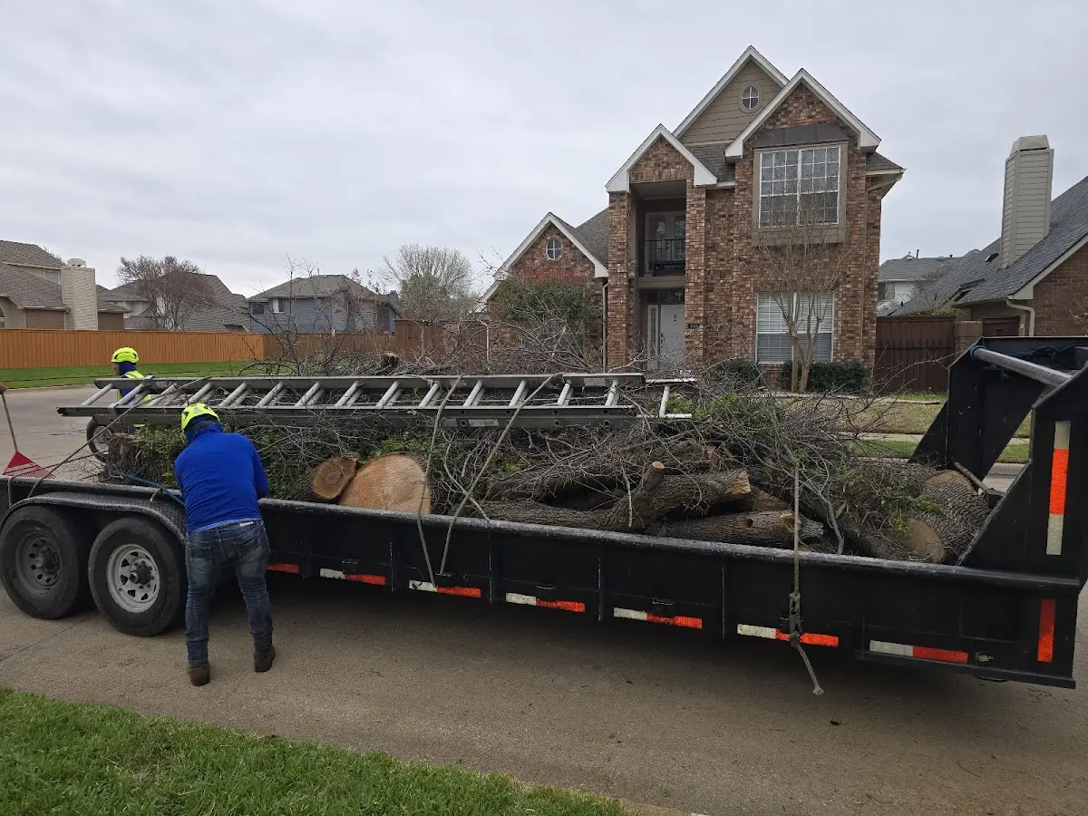 Expert Tree Pest Control with proper safety equipment in Park City